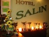 Hotel Salin