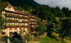 Hotel Alpenrose Wengen