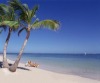 Catalonia Punta Cana - All Inclusive