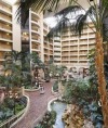 Embassy Suites by Hilton Orlando International Drive Convention Center