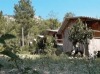 Olympos Camlık Pension