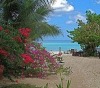 Secret Cabins at Firefly Beach Cottage