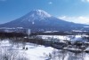 The Green Leaf, Niseko Village