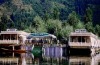 Swan Group of Houseboats, Golden Dal Lake