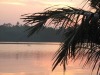 Mangrove Villa - Bentota River