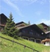 Chalet Idlevice