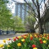 Chestnut Residence and Conference Centre - University of Toronto