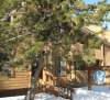 Snowbird Condos at Mammoths Canyon Lodge