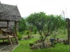 Nusha Homestay