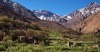 Riad Atlas Toubkal