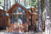 Knotty Pine Cabin