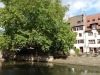 Appartement Au Petit Bois Vert