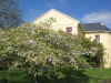 The Burren Hostel - Sleepzone