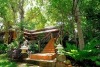 Viva Chiang Mai Nature Home Stay