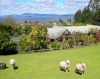 A Panoramic Country Homestay