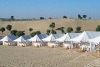 Royal Camps