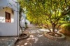 Lemon Tree Pefkos Apartments