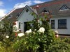 Coonagh Lodge B&B