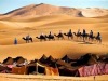 Camel Trek Bivouac