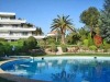 Apartment Les Hortensias Cannes