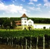 Purcari Winery