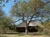 Masorini Bush Lodge