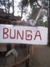 Bunga Bungalow