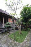 Alam Sari Homestays