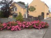 Marlinstown Court B&B