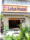 Lotus Hostel