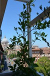 RSH Vatican Apartments - Rome City Centre