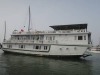 Luxury White Dolphin Cruises