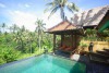 Capung Sakti Villas