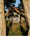 The Cabins at Terrace Beach