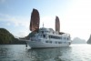 V'Spirit Classic Cruises