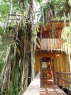 Topos Tree House