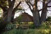 Ol Mesera Tented Camp