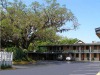 Scottish Inn - Saint Augustine