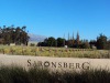 Saronsberg Vineyard Cottages