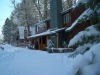 Golden Bear Cottages