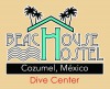 Beachouse Dive Hostel Cozumel