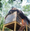 Shimiyacu Amazon Lodge