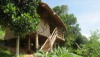 Tree Top Bungalows