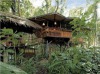 Tree House Lodge