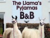 Llamas Pyjamas