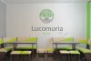 Lucomoria Hostel