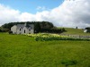 Inishfree House B&B