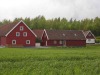 Red Bird Farm