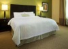 Hampton Inn & Suites San Antonio-Downtown/Market Square