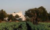 Masseria Torremossa